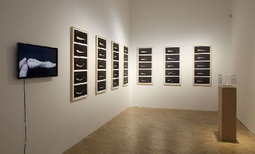 A feherrepakba gombostukkel irt szoveg Egyenes akarok maradni I want to keep a straight line Az installacio elemei fotosorozat video a kiallitas ideje alatt becsavarodo gyoker Elements of the installation series of photographs video object kiallitasi enterior foto Sulyok Miklos