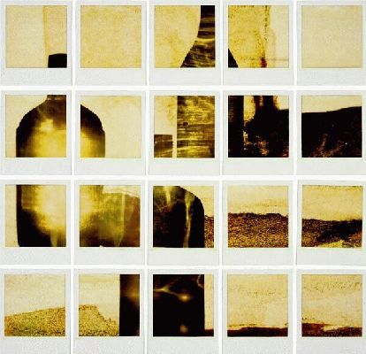 1998 polaroid photogram 66 x 45 cm